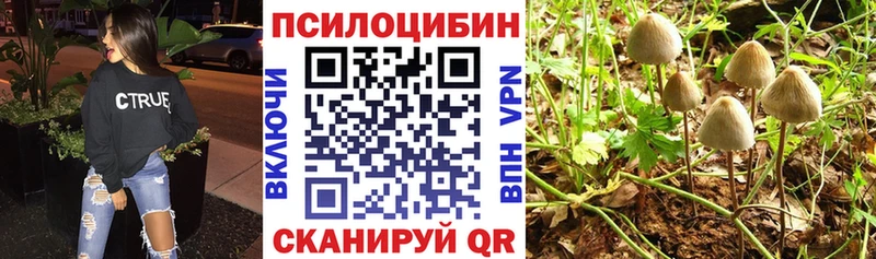 Галлюциногенные грибы мицелий  Советская Гавань 